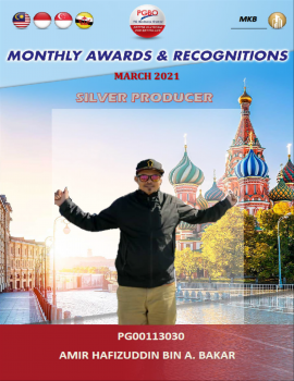 113030-AMIR HAFIZUDDIN BIN A. BAKAR